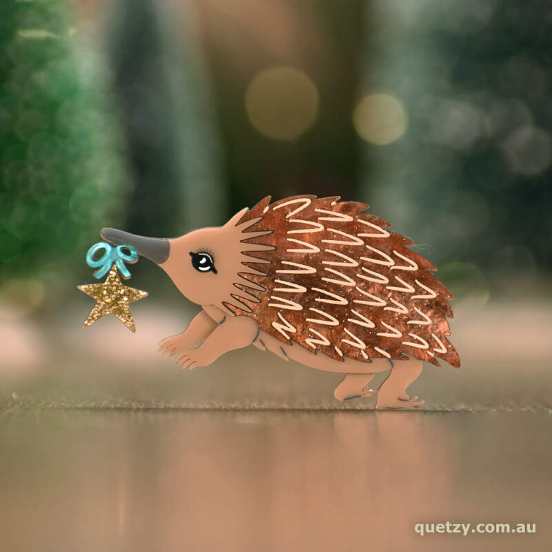 An Echidna holding a gold star and blue bow to celebrate the good times. Australian Monotreme Brooch