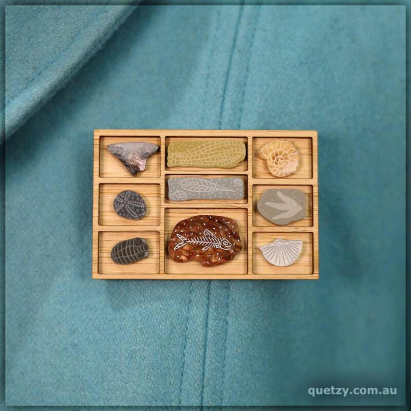 Wooden box brooch containing nine, miniature fossil specimens. Each represents a real-life fossil. Designed and handmade by Quetzy