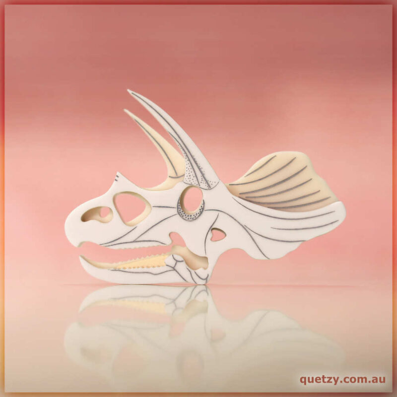 Triceratops fossil skull brooch representing a real-life fossil. Designed and handmade by Quetzy